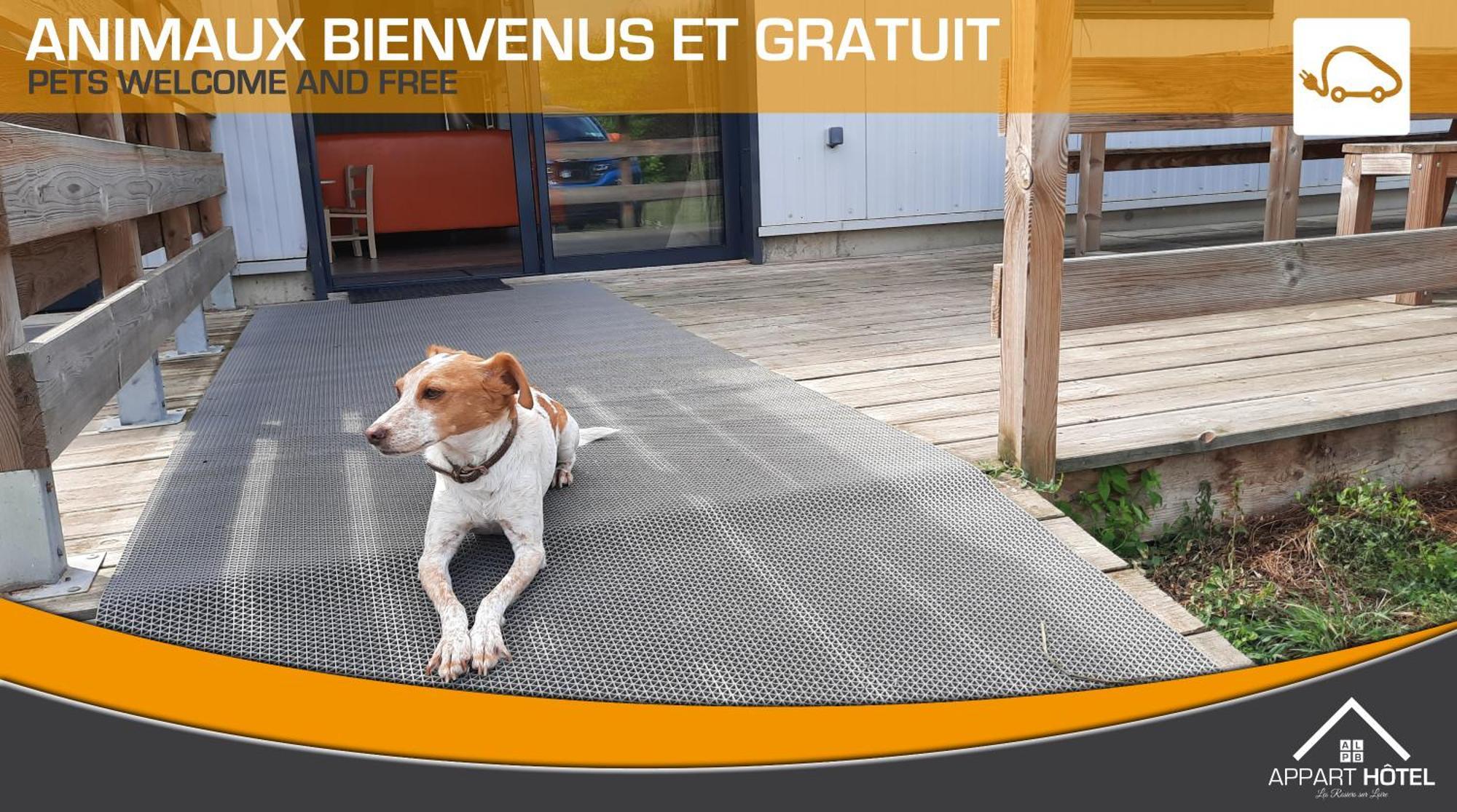 Appart'Hotel Les Pres Blondeau - 1 A 10 Personnes - 3 Chambres - Terrasse - Parking Prive - Wifi Les Rosiers エクステリア 写真